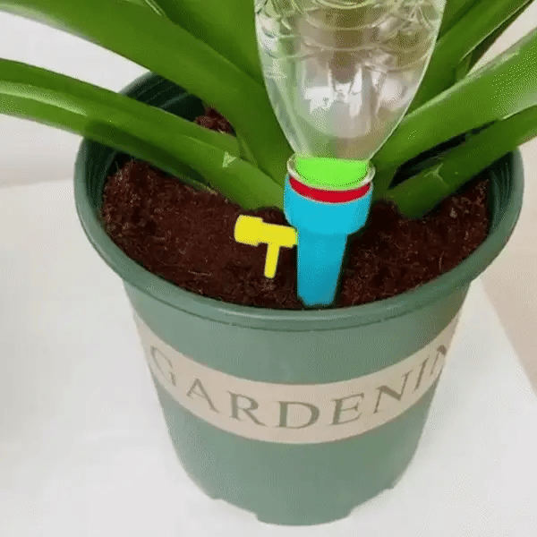 SET PROMOCIONAL: 60 Goteros de Riego Automático por Goteo para Plantas          Formulează o solicitare către ChatGPT